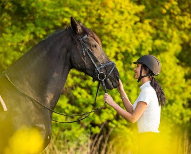 Treatment to Cure Dry Eye Disease Woman Tending to a Horse